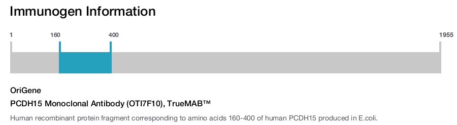 PCDH15 Monoclonal Antibody (OTI7F10), TrueMAB&trade;