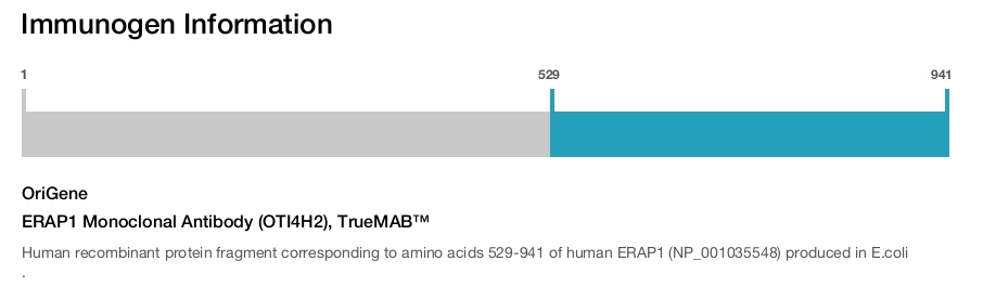ERAP1 Monoclonal Antibody (OTI4H2), TrueMAB&trade;