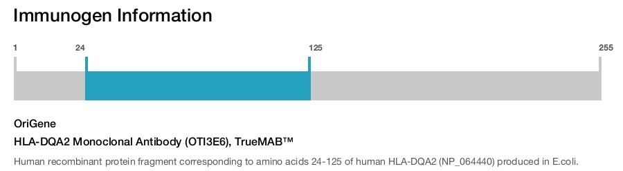 HLA-DQA2 Monoclonal Antibody (OTI3E6), TrueMAB&trade;