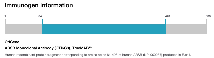 ARSB Monoclonal Antibody (OTI6G9), TrueMAB&trade;