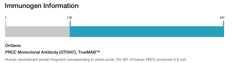 PRCC Monoclonal Antibody (OTI5H7), TrueMAB&trade;