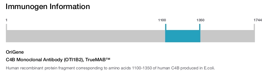 C4B Monoclonal Antibody (OTI1B2), TrueMAB&trade;