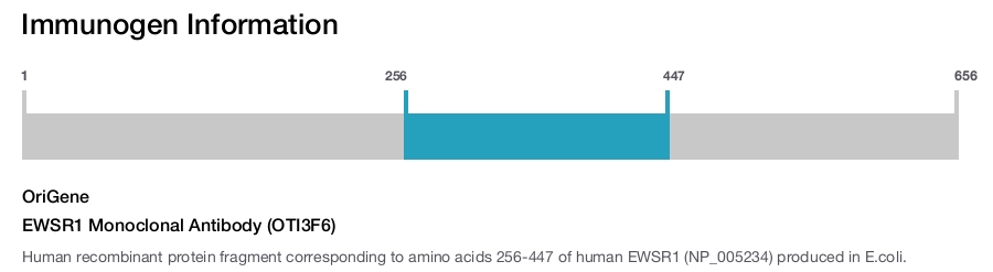 EWSR1 Monoclonal Antibody (OTI3F6)