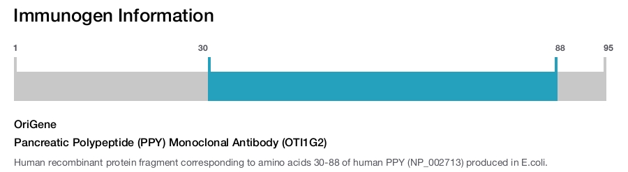 Pancreatic Polypeptide (PPY) Monoclonal Antibody (OTI1G2)