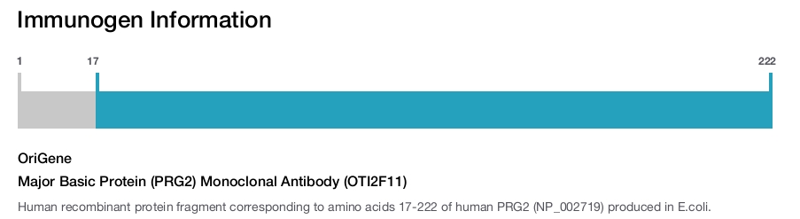 Major Basic Protein (PRG2) Monoclonal Antibody (OTI2F11)
