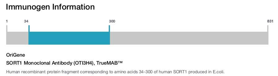 SORT1 Monoclonal Antibody (OTI3H4), TrueMAB&trade;