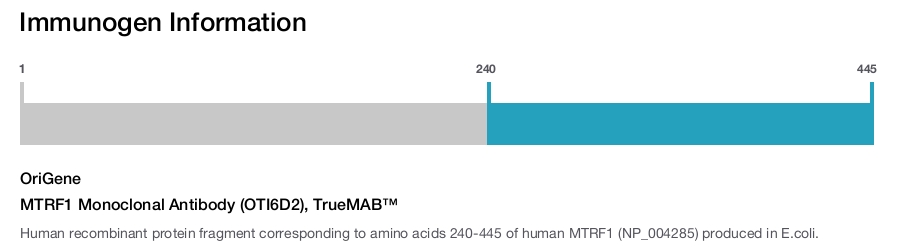 MTRF1 Monoclonal Antibody (OTI6D2), TrueMAB&trade;