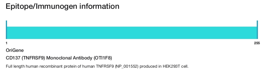 CD137 (TNFRSF9) Monoclonal Antibody (OTI1F8)