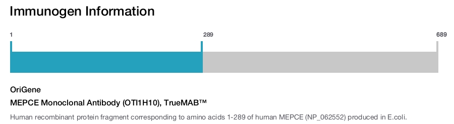 MEPCE Monoclonal Antibody (OTI1H10), TrueMAB&trade;
