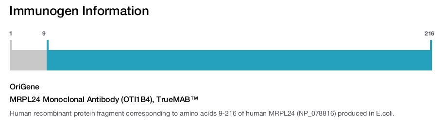 MRPL24 Monoclonal Antibody (OTI1B4), TrueMAB&trade;