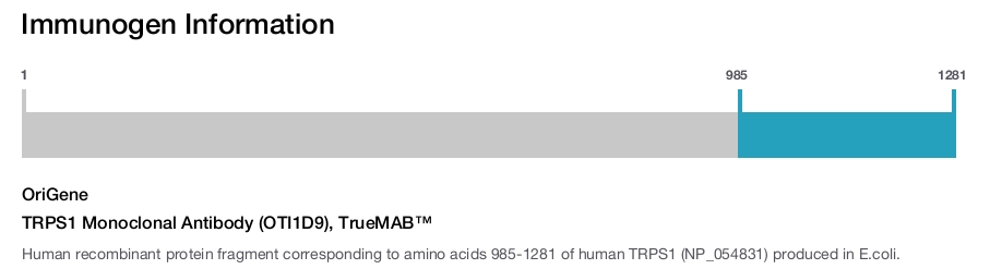 TRPS1 Monoclonal Antibody (OTI1D9), TrueMAB&trade;
