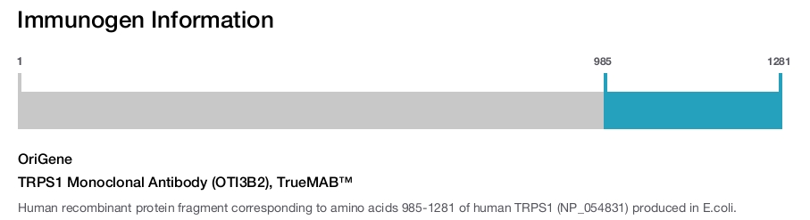 TRPS1 Monoclonal Antibody (OTI3B2), TrueMAB&trade;