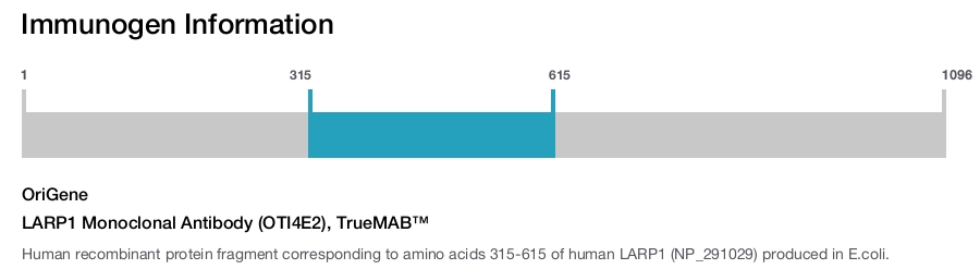 LARP1 Monoclonal Antibody (OTI4E2), TrueMAB&trade;