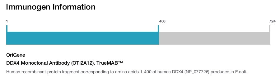 DDX4 Monoclonal Antibody (OTI2A12), TrueMAB&trade;