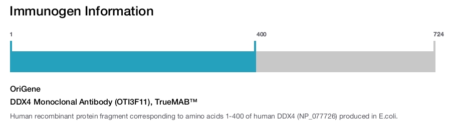 DDX4 Monoclonal Antibody (OTI3F11), TrueMAB&trade;