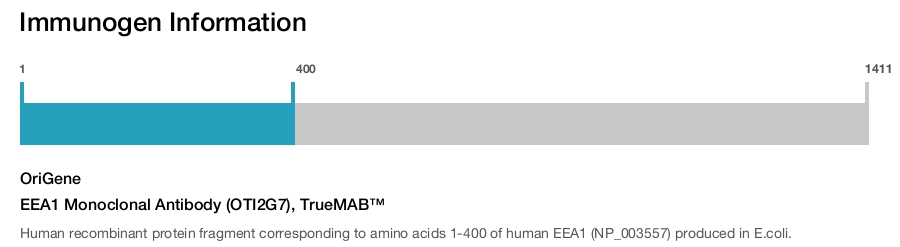 EEA1 Monoclonal Antibody (OTI2G7), TrueMAB&trade;
