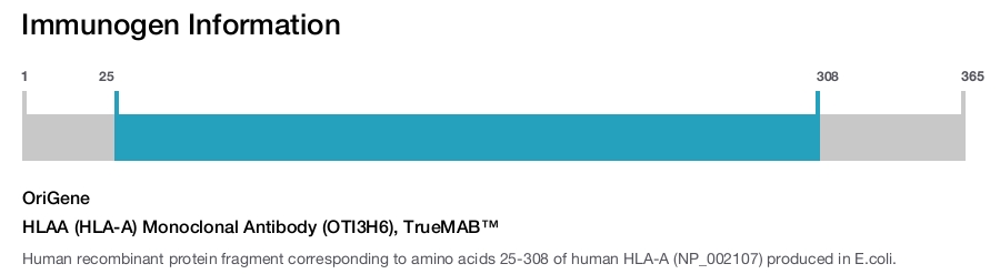 HLAA (HLA-A) Monoclonal Antibody (OTI3H6), TrueMAB&trade;