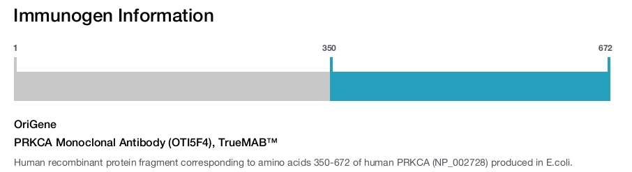 PRKCA Monoclonal Antibody (OTI5F4), TrueMAB&trade;