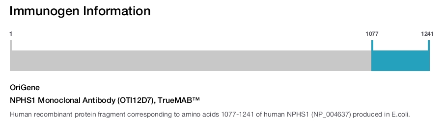 NPHS1 Monoclonal Antibody (OTI12D7), TrueMAB&trade;