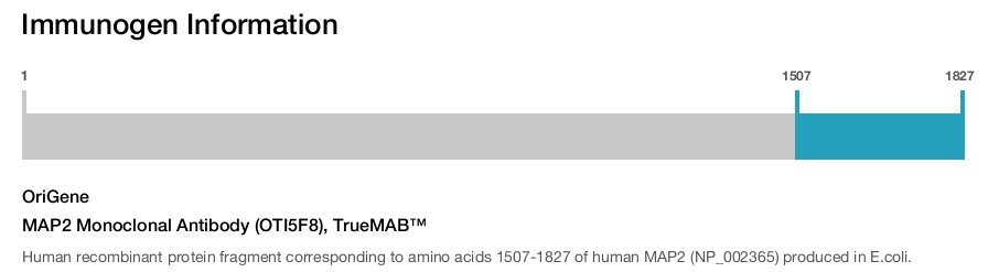 MAP2 Monoclonal Antibody (OTI5F8), TrueMAB&trade;