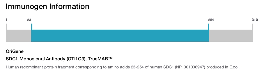 SDC1 Monoclonal Antibody (OTI1C3), TrueMAB&trade;