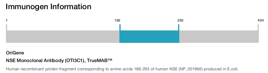 NSE Monoclonal Antibody (OTI3C1), TrueMAB&trade;