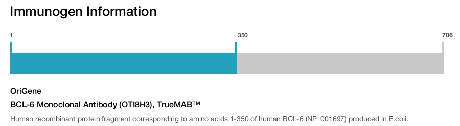 BCL-6 Monoclonal Antibody (OTI8H3), TrueMAB&trade;