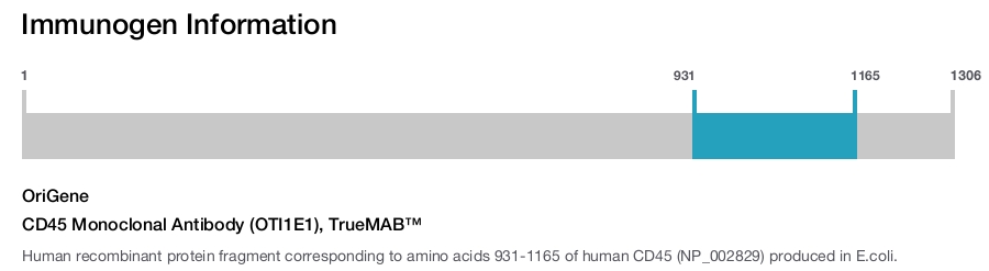 CD45 Monoclonal Antibody (OTI1E1), TrueMAB&trade;