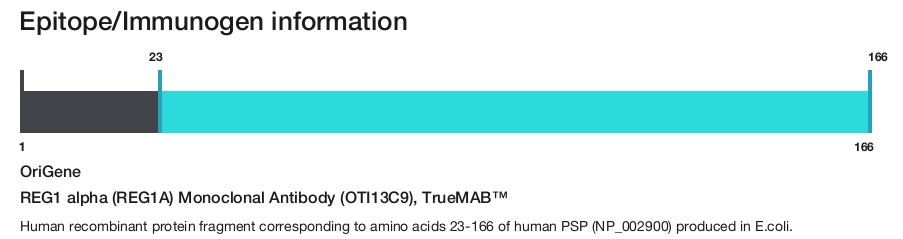 REG1 alpha (REG1A) Monoclonal Antibody (OTI13C9), TrueMAB&trade;