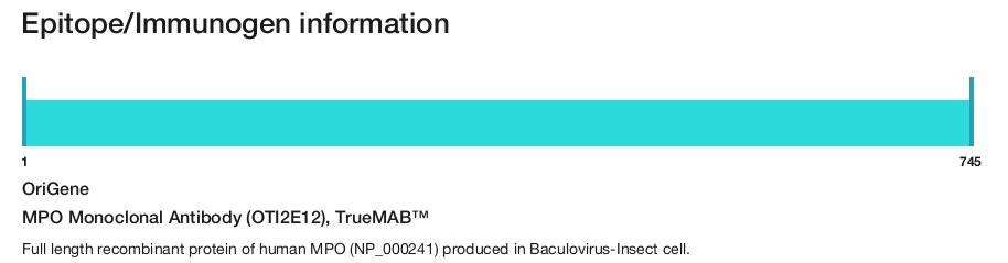 MPO Monoclonal Antibody (OTI2E12), TrueMAB&trade;