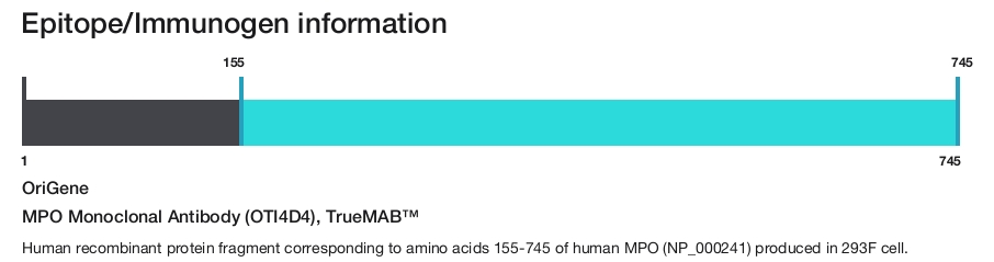 MPO Monoclonal Antibody (OTI4D4), TrueMAB&trade;