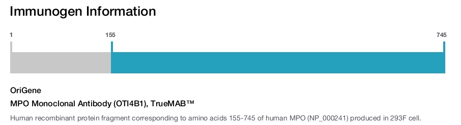 MPO Monoclonal Antibody (OTI4B1), TrueMAB&trade;