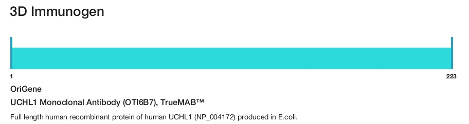 UCHL1 Monoclonal Antibody (OTI6B7), TrueMAB&trade;