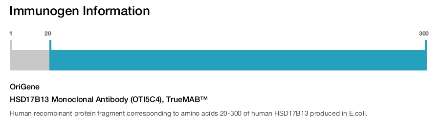 HSD17B13 Monoclonal Antibody (OTI5C4), TrueMAB&trade;