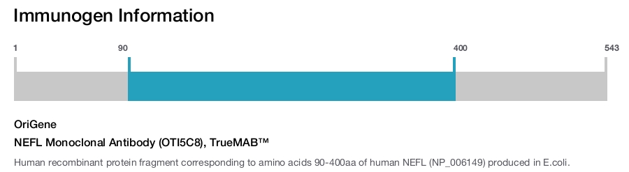 NEFL Monoclonal Antibody (OTI5C8), TrueMAB&trade;