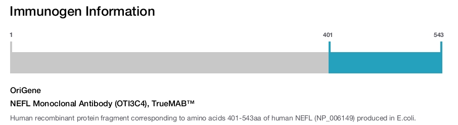 NEFL Monoclonal Antibody (OTI3C4), TrueMAB&trade;