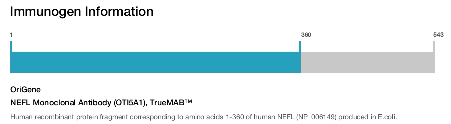 NEFL Monoclonal Antibody (OTI5A1), TrueMAB&trade;