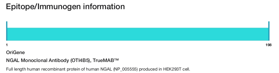 NGAL Monoclonal Antibody (OTI4B5), TrueMAB&trade;
