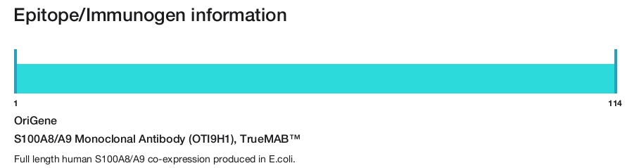 S100A8/A9 Monoclonal Antibody (OTI9H1), TrueMAB&trade;