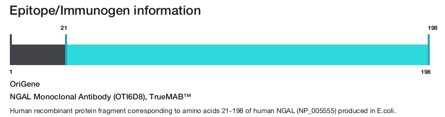 NGAL Monoclonal Antibody (OTI6D8), TrueMAB&trade;