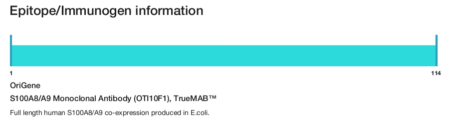 S100A8/A9 Monoclonal Antibody (OTI10F1), TrueMAB&trade;
