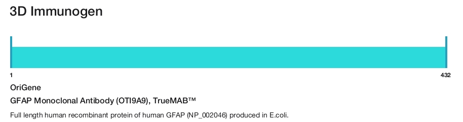 GFAP Monoclonal Antibody (OTI9A9), TrueMAB&trade;