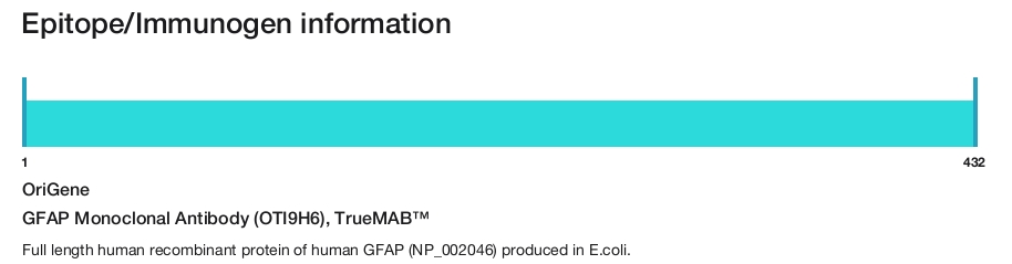 GFAP Monoclonal Antibody (OTI9H6), TrueMAB&trade;