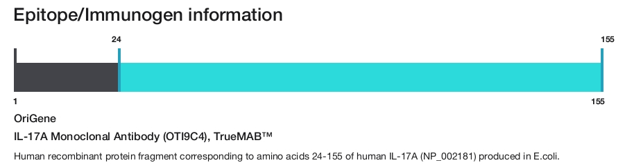 IL-17A Monoclonal Antibody (OTI9C4), TrueMAB&trade;
