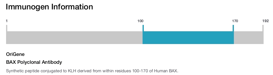 BAX Polyclonal Antibody