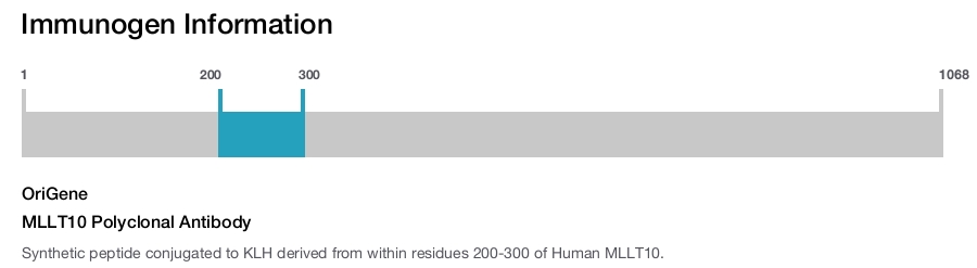 MLLT10 Polyclonal Antibody