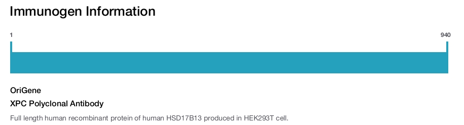 XPC Polyclonal Antibody