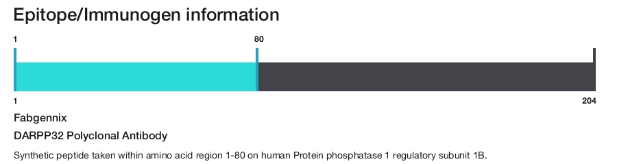 DARPP32 Polyclonal Antibody