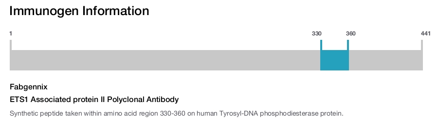 ETS1 Associated protein II Polyclonal Antibody