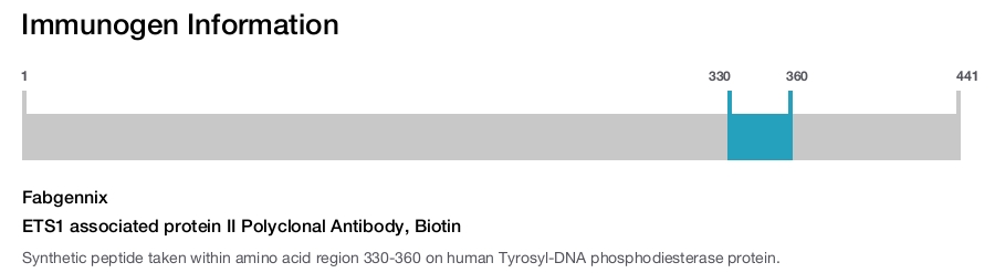 ETS1 associated protein II Polyclonal Antibody, Biotin